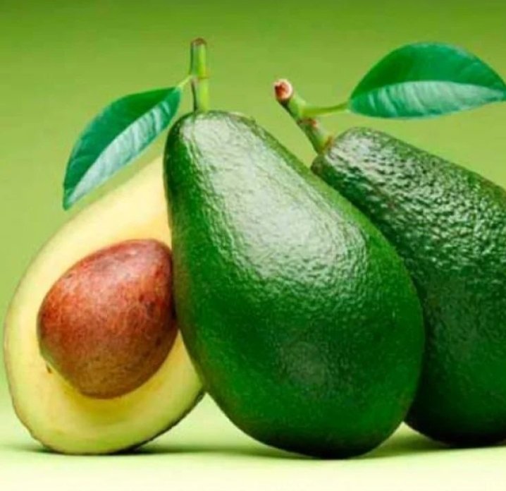 CHOCO_TACHIRA's tweet photo. Alta producción de aguacate hass en Yaracuy Buenos ejemplos a seguir 👨‍🌾🇻🇪

255 hectáreas 
40.000 árboles🥑

Disponemos absolutamente de los mejores injertos de aguacate en la nación. 
Injertos Maximun con patrones de excelencia comprobada sanidad vegetal y buen manejo agronómico. https://t.co/WzkFBkkX2X