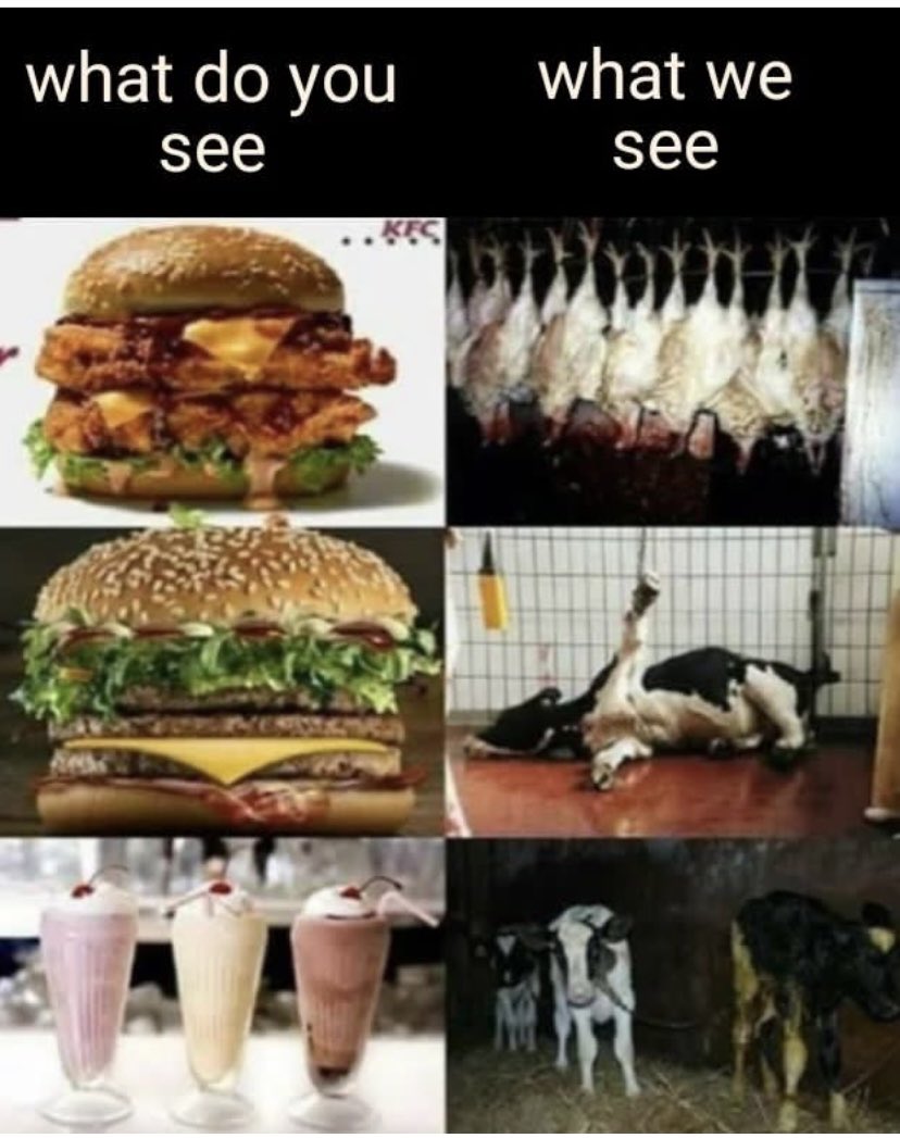 🌱🌱VeganSue 🌱🌱 (@seery_sue) on Twitter photo 