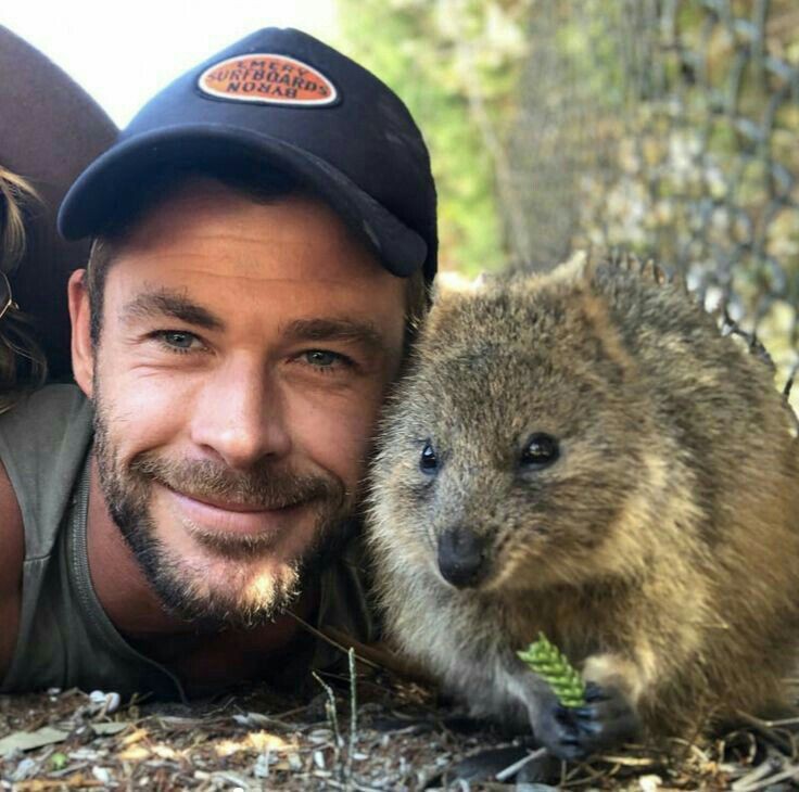 DK84STE's tweet photo. #LafattoriadiMaria Não sei que bicho é esse mas achei no terreno e fiz amizade. https://t.co/ruFEBaX68o