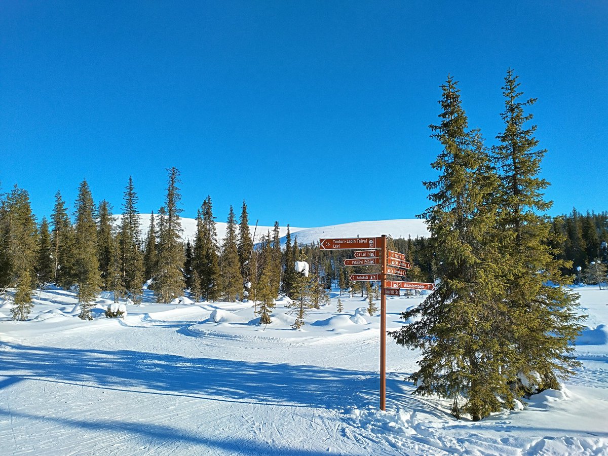 Jussi Isoaho tweet media