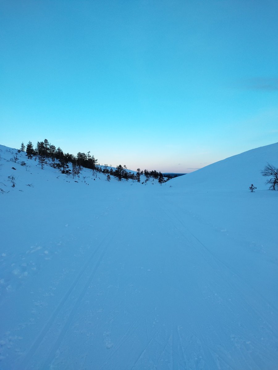 Jussi Isoaho tweet media