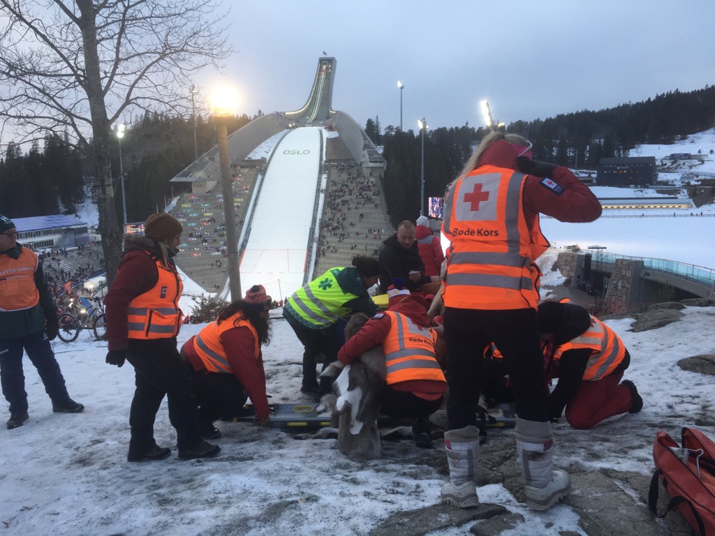 Dagen i #Holmenkollen idag foregikk uten de store hendelsene. Kun noen få (5) har fått hjelp fra de frivillige mannskapene. Det har ikke vært noe alvorlig. Våre frivillige har hatt muligheten til å se og heie på gode idrettsprestasjoner. #skifest #orkh #oslorødekors