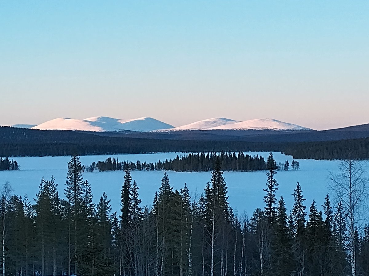 Jussi Isoaho tweet media