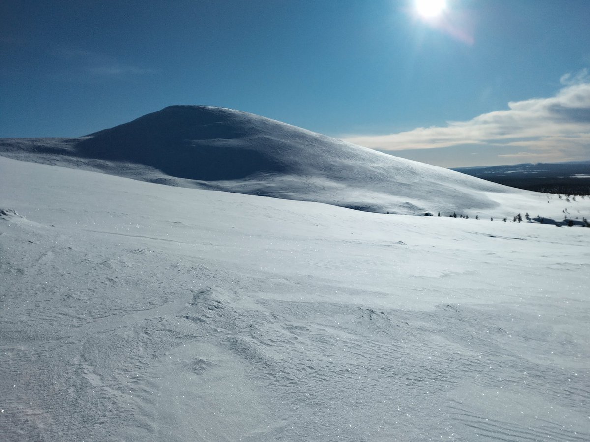 Jussi Isoaho tweet media