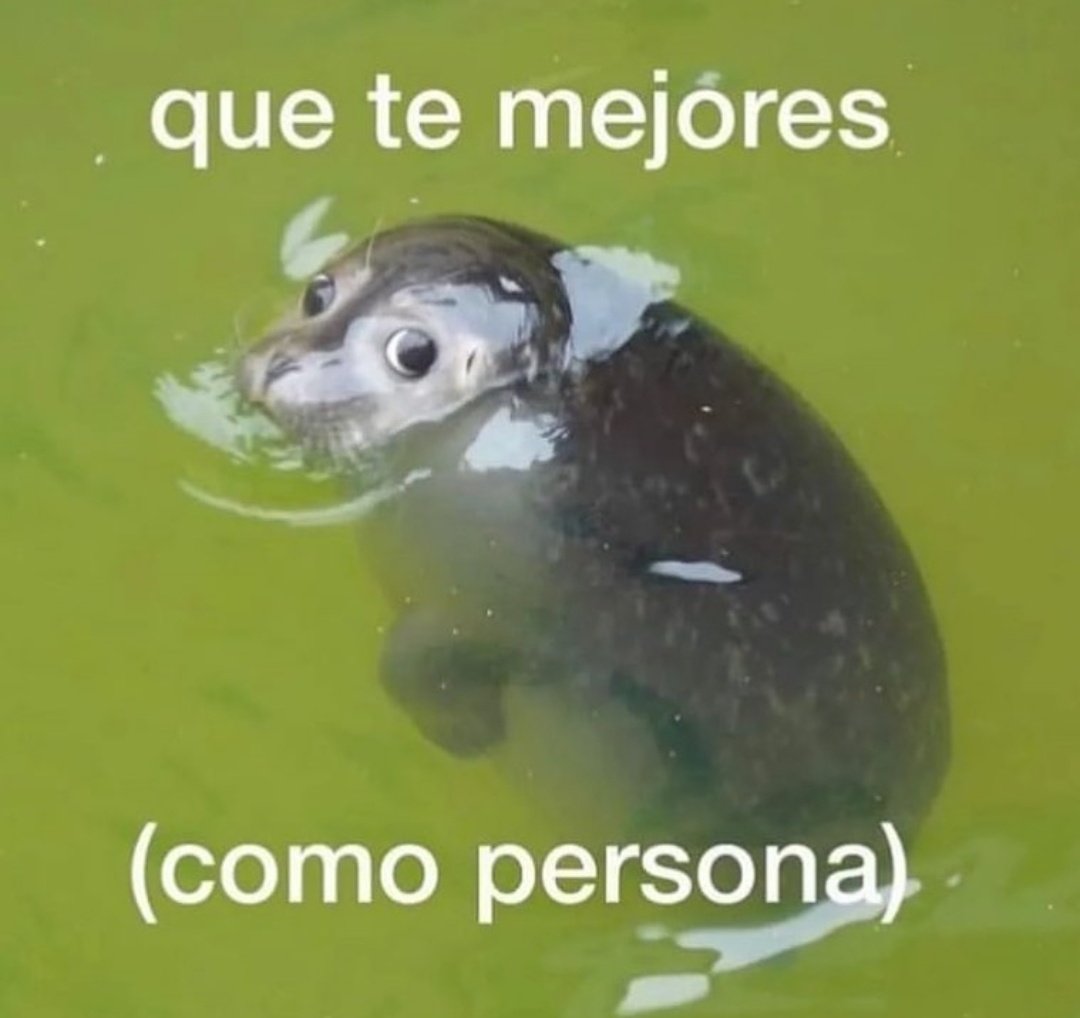 skereunpesado's tweet photo. no te gusta la tarta de queso? https://t.co/jidUq274zA