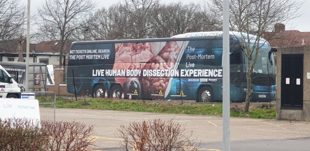 Cannot wait for tonight! <a href="/postmortemlive/">thepostmortemlive</a> so excited #sciencenerd #biologydude