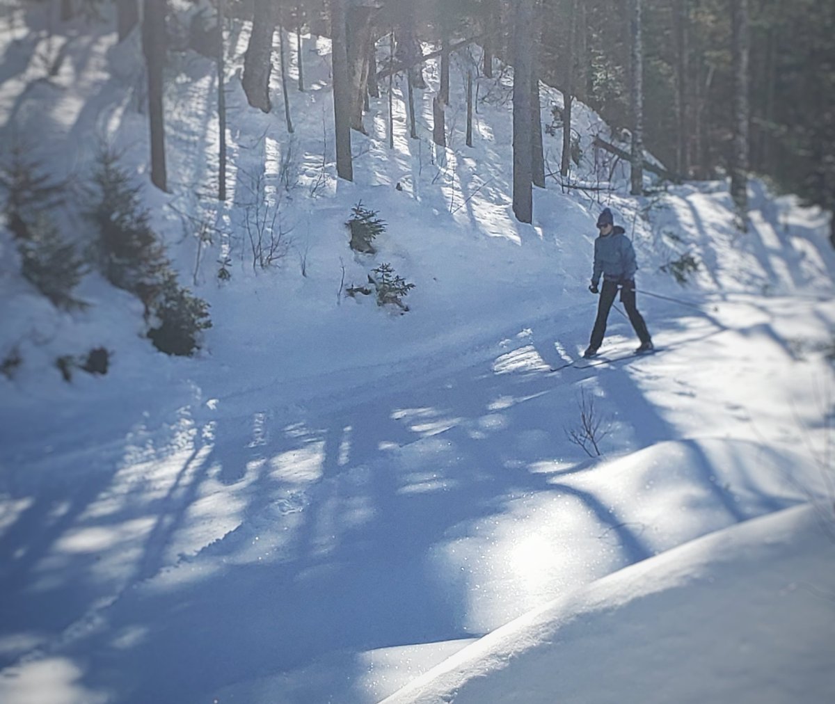 Green Woodlands with Ems for a #nordicskiing #skateskiing adventure! Love the Trout Pond Loop!