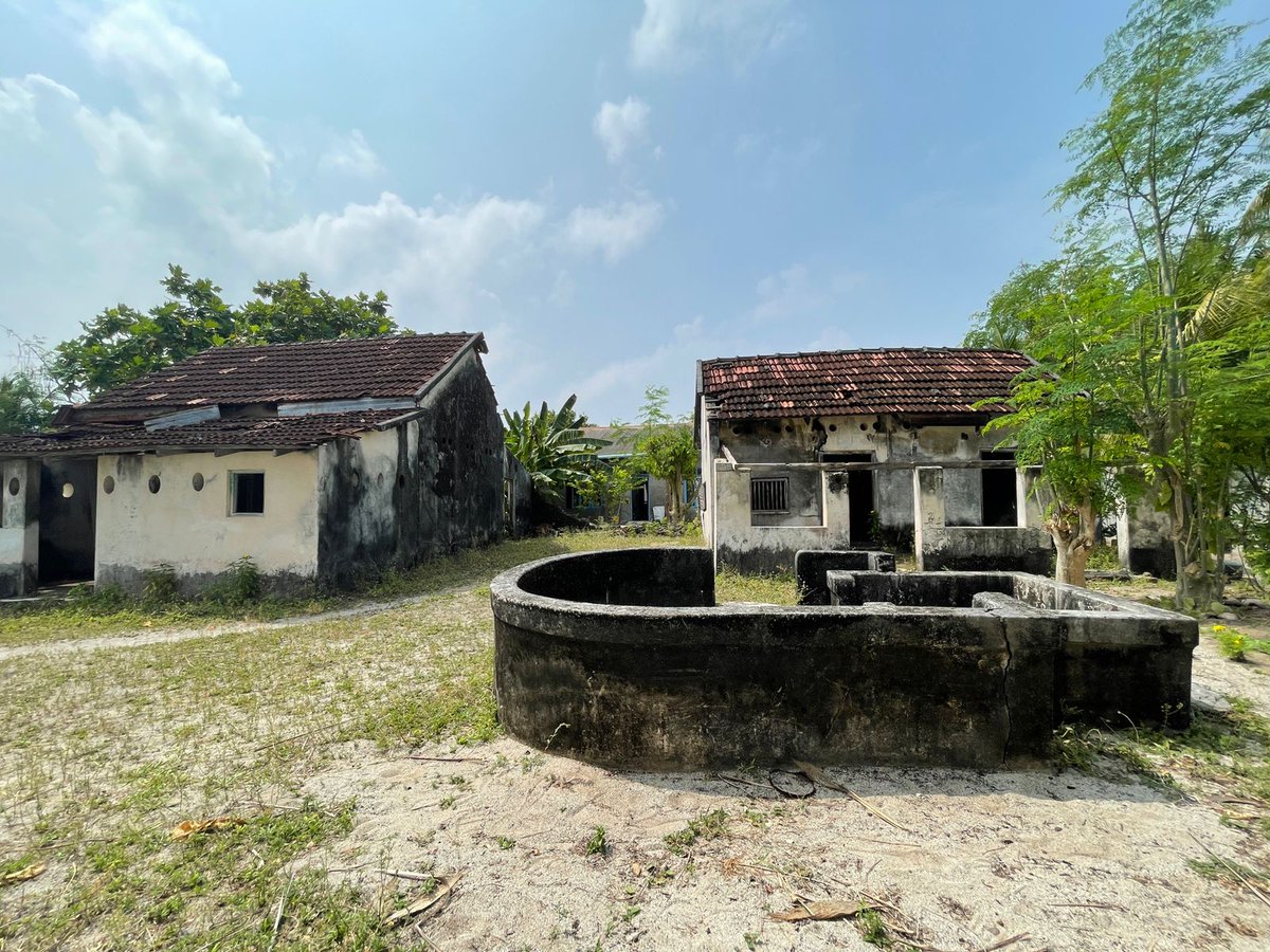 Mohamed Thoriq tweet media