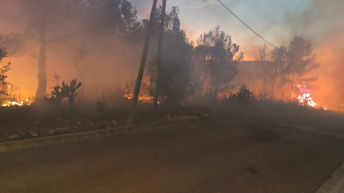 Federació ADF_PG tweet media