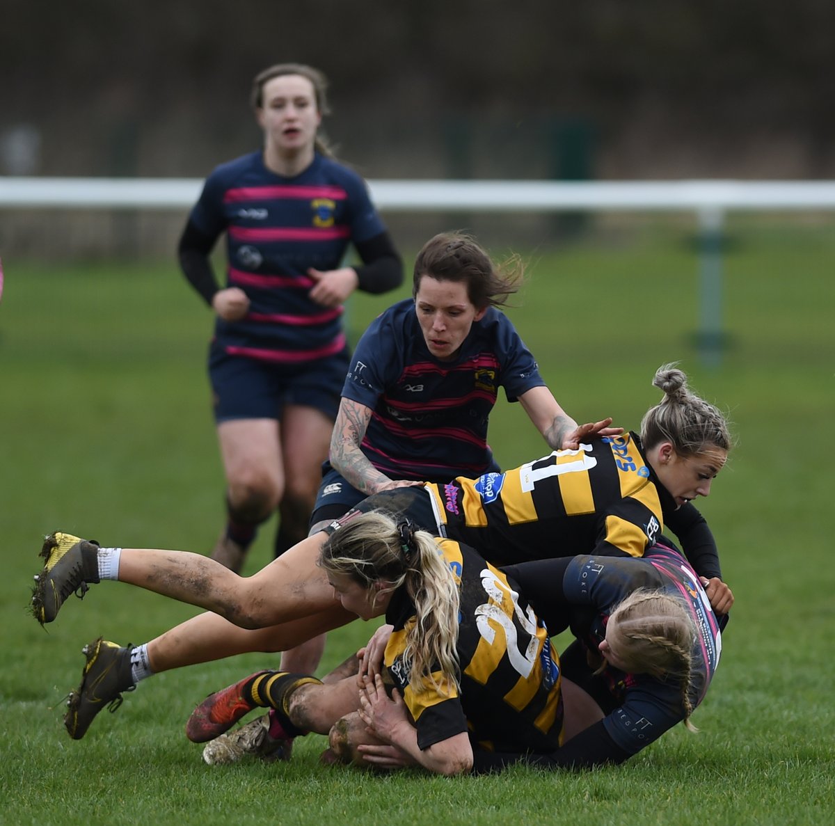 MSmithimages's tweet photo. A nice local game today to shoot Melksham v Hornets
A close game that saw Hornets win 12-14
@MelkshamRFC https://t.co/40sm0cCSvO