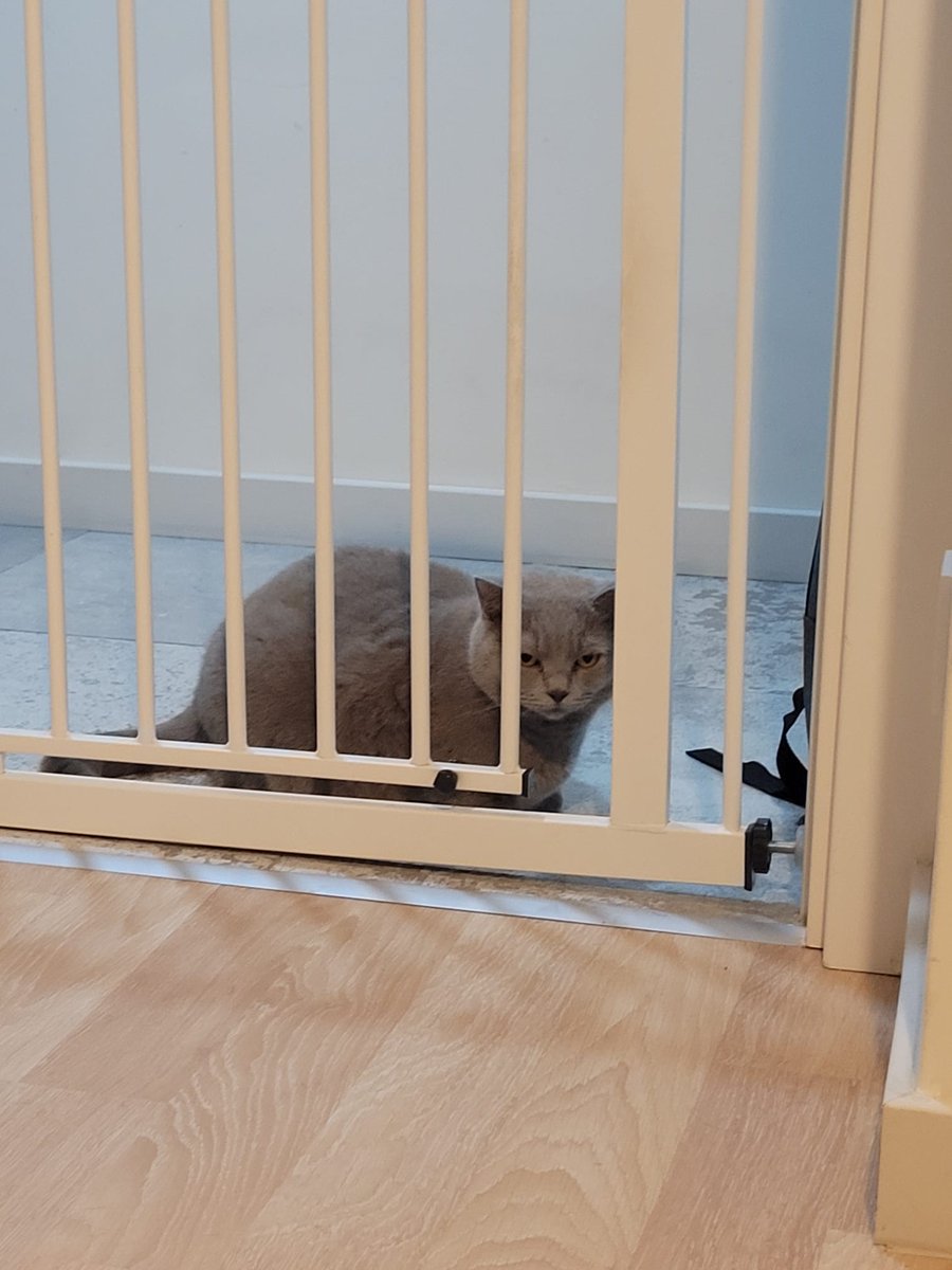 suskokedy's tweet photo. gelirsem döverim beynini https://t.co/tJeyyZGrTS