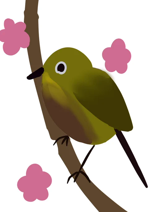 これはめじろ 