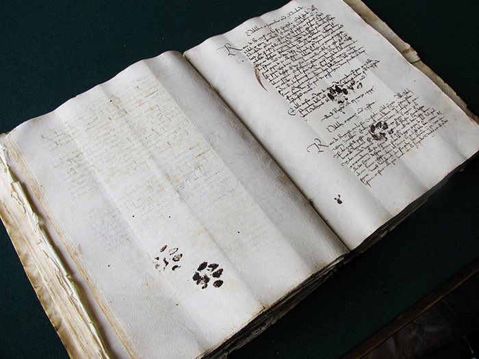 tutubuslatinus's tweet photo. vestigia felis : a cat’s footprints 
March 11th, 1445 
Photograph by @EmirOFilipovic https://t.co/GxE3ZZbuW8