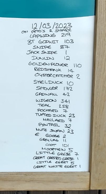 The last count for our winter Wetland Bird Surveys today. Petos was chock full including the eastern yellow wagtail that continues to attract visitors. Good numbers of teal and snipe especially on the rest of the reserve 👍 @SuffolkBirdGrp @BirdGuides @WaveneyBirdClub