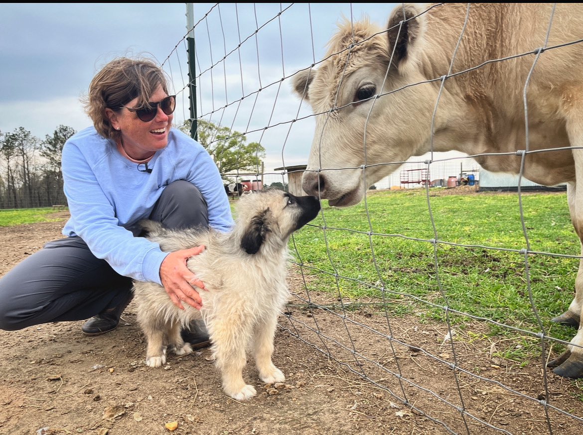 TheCogHillFarm's tweet photo. Mildred telling Rocky welcome to the family #farmlife #farmdog #farmilyfarm https://t.co/vQoLJoOGCD