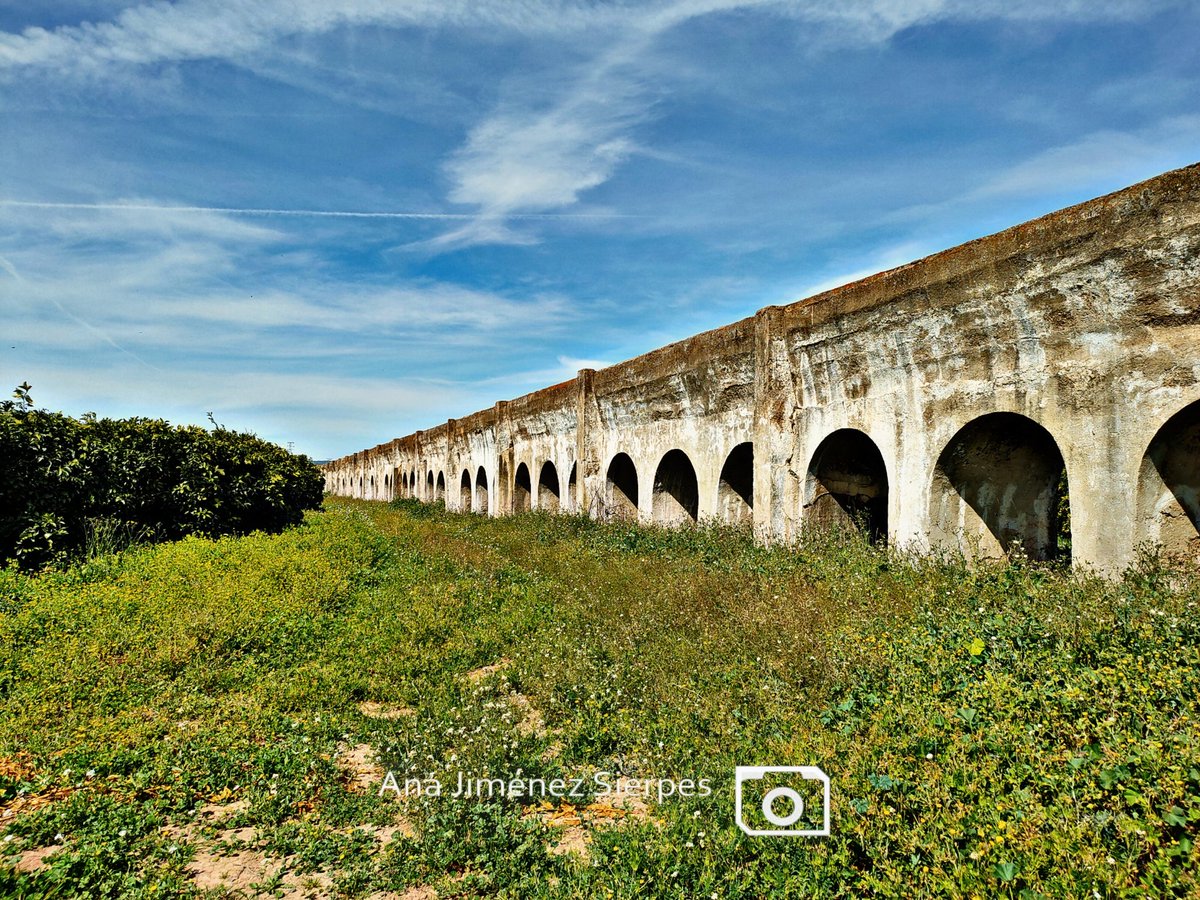 Ana Jiménez Sierpes tweet media