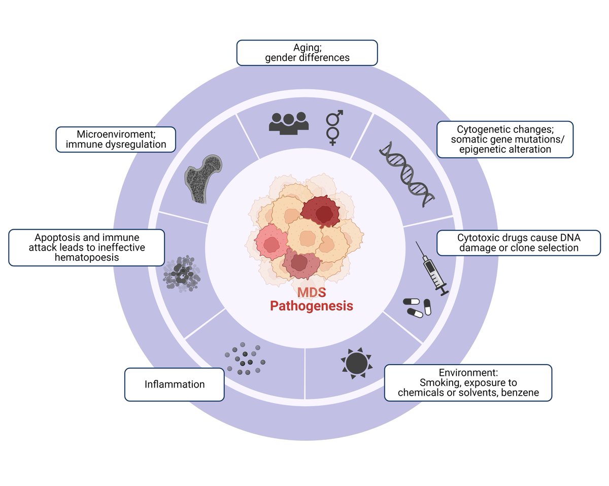icMDS presents the most recent important publication on MDS preclinical and translational research. A brief guide:
1. Preclinical models of MDS based on the pathogenesis

2. MDS genetic aspects 
 - molecular defined MDS
- germline predisposition
- CHIP and CCUS--> MDS