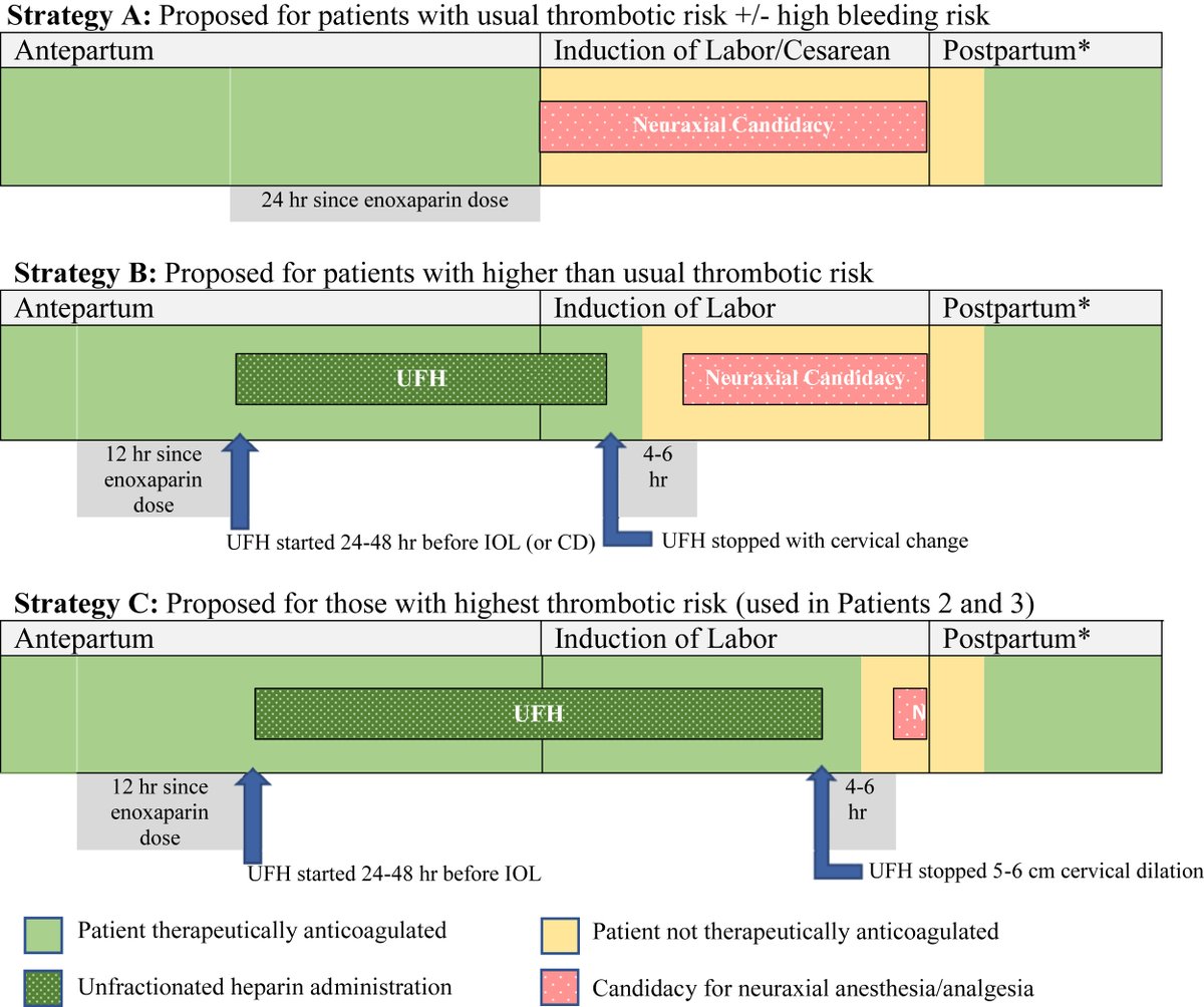 Women with mechanical mitral valves (MMV) are pursuing #pregnancy. A #JACCCaseReports case series of parturients with #MMV highlights the challenges in, and the evidence and strategies for, treating these patients. bit.ly/3lbFFvb

#CardioObstetrics #ACCCardioOB #cvCoag
