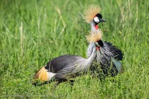 MstSafaris's tweet photo. https://t.co/9S7i8UNQIo
