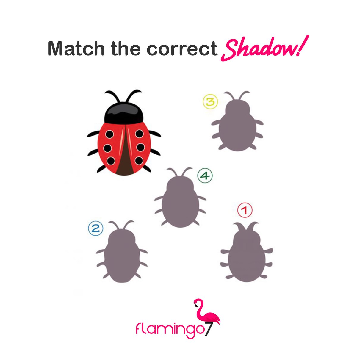 Flamingo7online's tweet photo. Quiz Alert!๐
Match the correct shadow and get a chance to win a sweet prize!
Only 2 lucky users will claim 5$ CASH!
Comment your answers belowโคต
#casinousa #casino #slotgames #slots #slotgaming #matchtheshadow #matchandwin #contestalert #contest #quizinstagram #quizcash https://t.co/ybAA9BbIDW