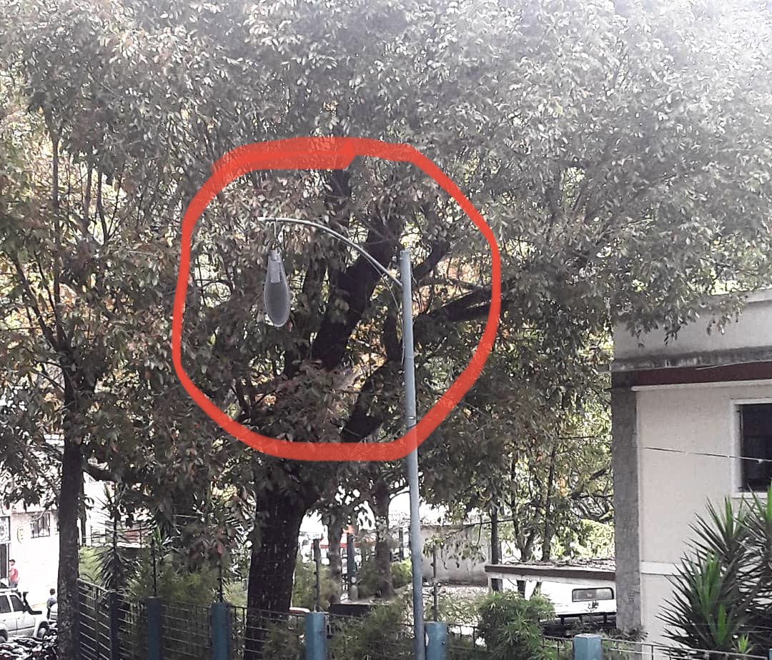 vozsinmiedo's tweet photo. @CorpoelecInfo ⚠️ PELIGRO Faro a punto de caerse y poste doblado URGENTE Av Aristides Rojas San Bernardino Caracas https://t.co/mPTkdqsw0R