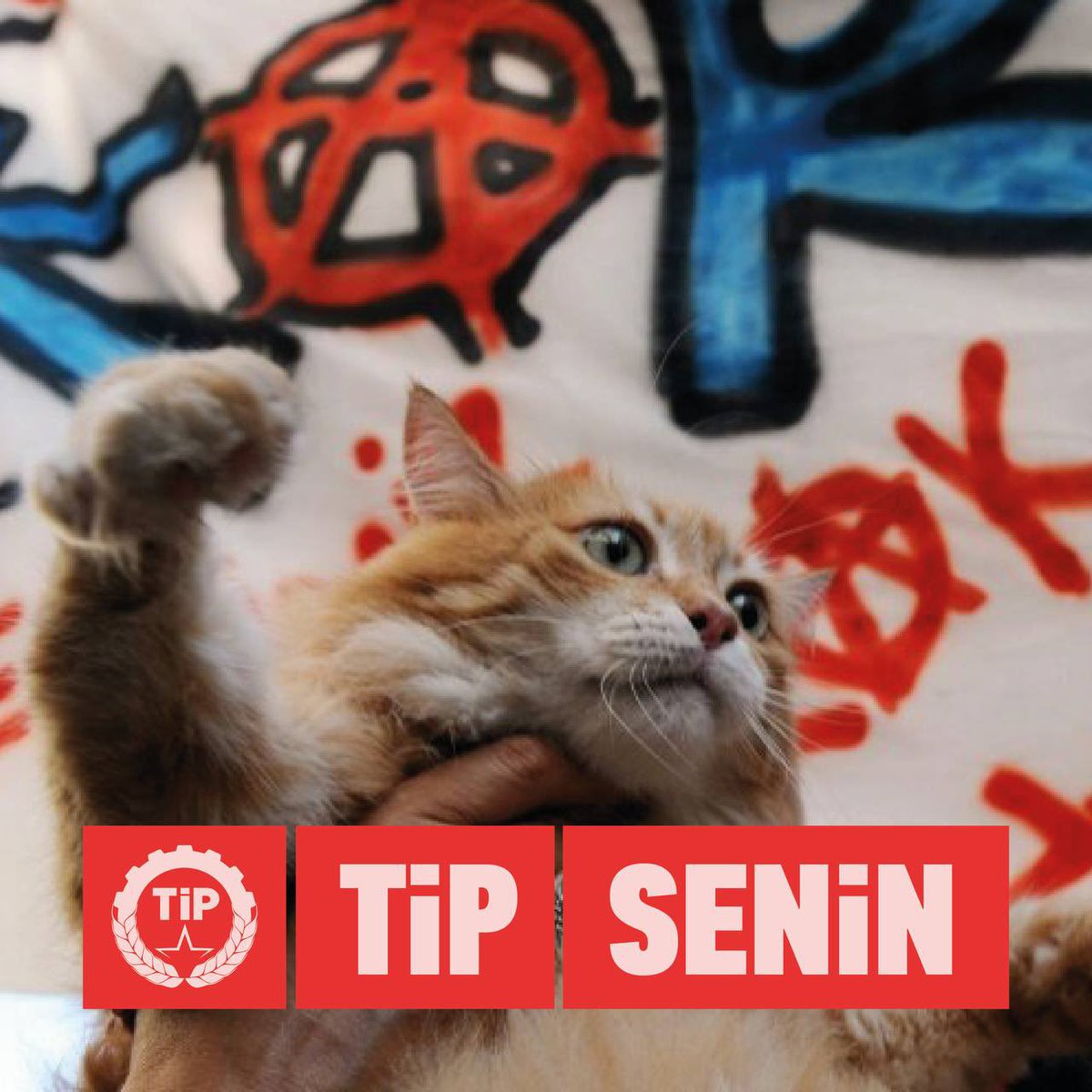 Her canlı için güzel ve yaşanılabilir bir gelecek düşlüyorsan #TİPSenin!
