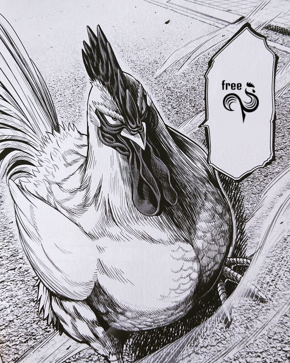 <a href="/TeamPepsMAX/">TEAM PEPS</a> @ExOblivioneOW GO RÉCUPÉRER LE POULET MAINTENANT !
<a href="/VegasEternal/">Vegas Eternal</a> On arrive