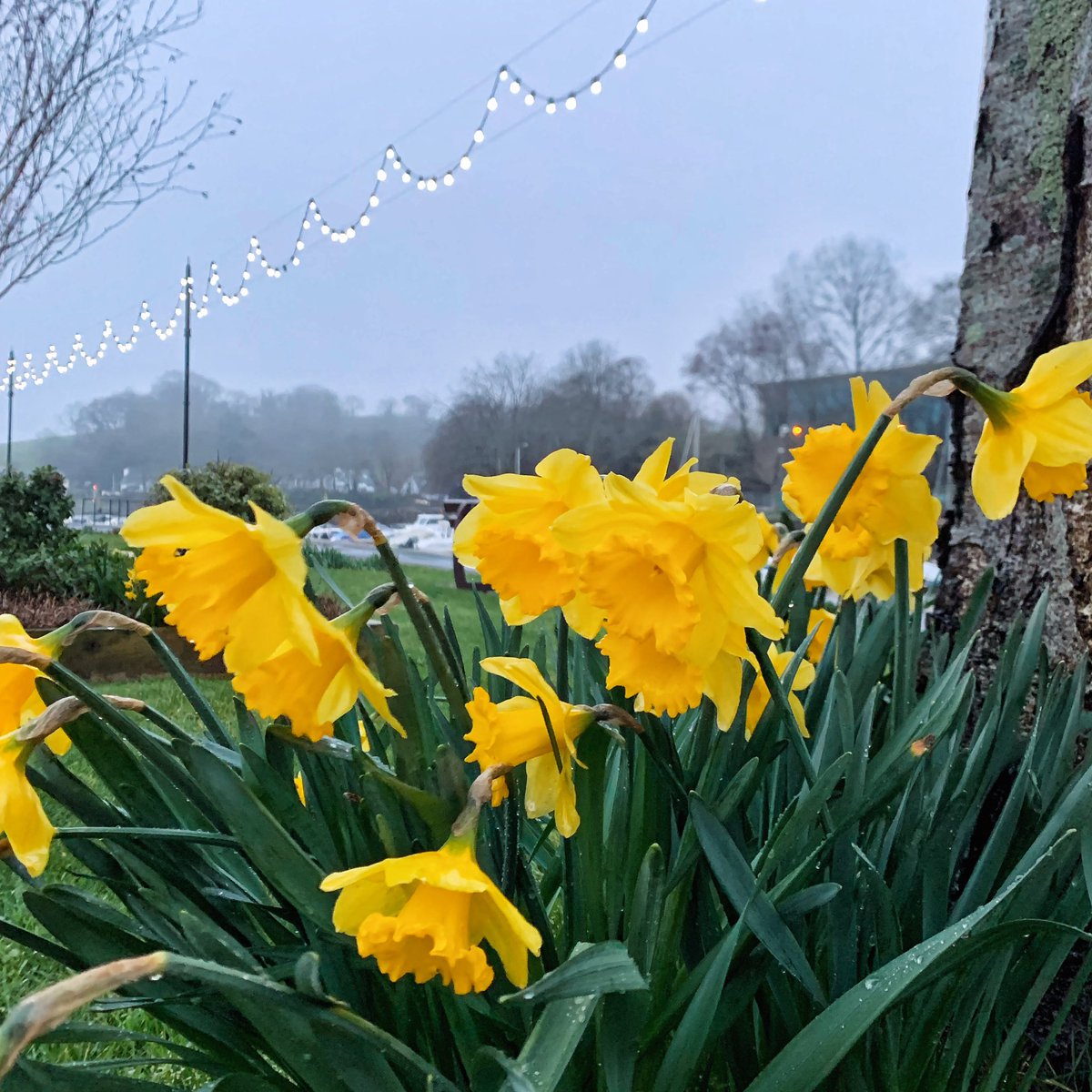 A host 💛⭐️ #bloomhour