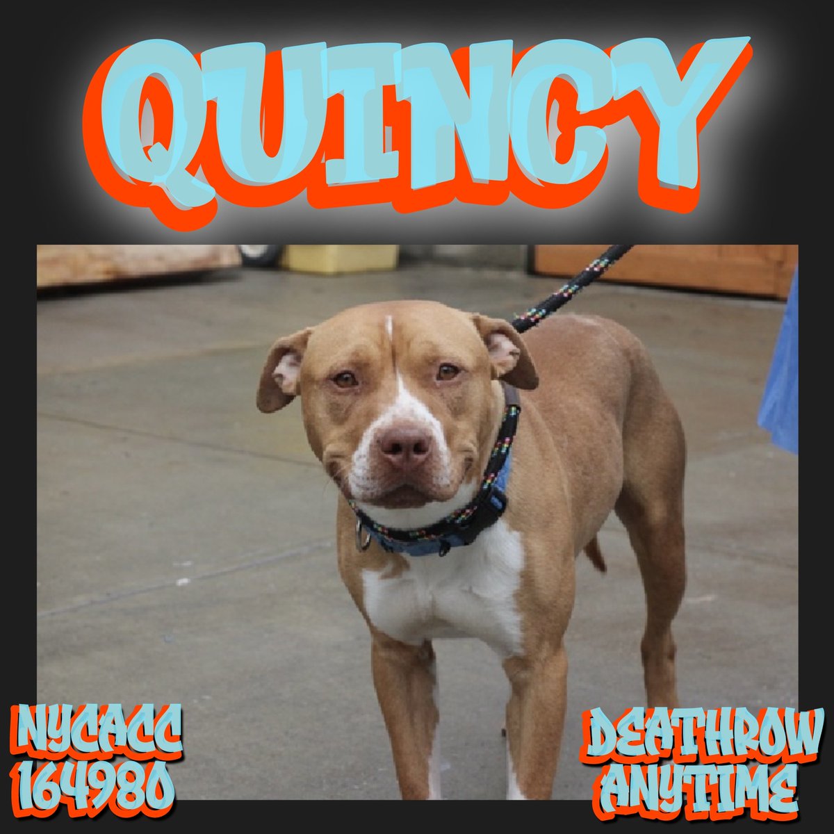 Well I'm happy to say, before I could even go get another cup of coffee!!!
Both are reserved for rescue!!! 
✨✨✨🐾🐾🐾🥳🍻
But we do have 2 more kill commands I'll be posting shortly