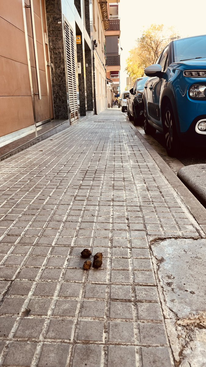 Pedro_existe's tweet photo. @apropcornella @EPcornella @cornella20 Bonita mañana de domingo en el Pedró… #incivisme @ErcCornella @PP_Cornella @Cs_Cornella @PodemCornella @PSC_Cornella https://t.co/Mnqwb19ah2