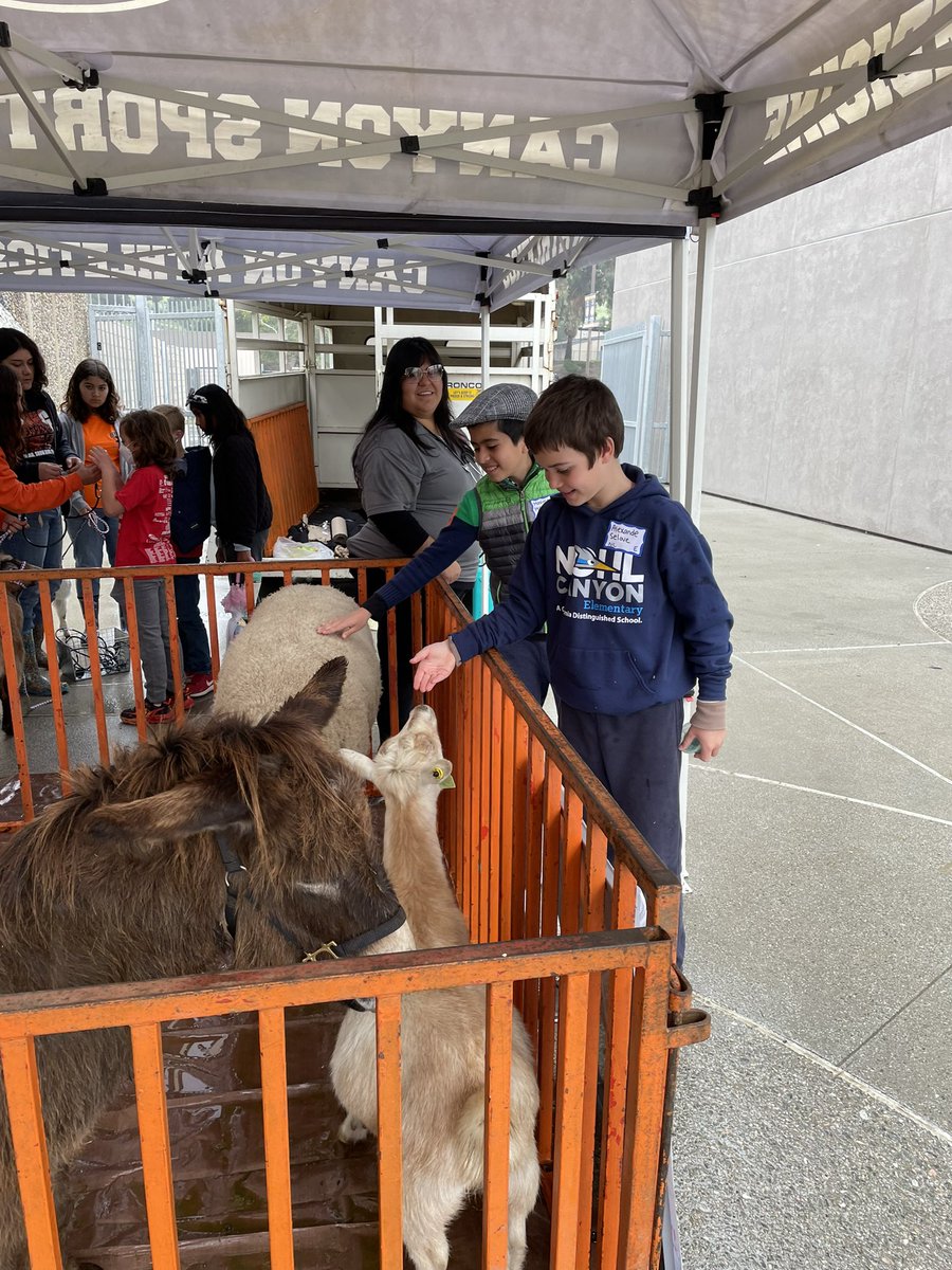 Nohl Canyon Roadrunners (@nohlcanyon) on Twitter photo STEAM Saturday <a href="/canyoncomanches/">Canyon High School</a> ! Students had a great time engaged with Legos, Slime, horticulture and fitness! Thank you Canyon HS for hosting! <a href="/OrangeUnifiedCA/">Orange Unified SD</a> <a href="/AndOusd/">OUSD Innovation and Excellence</a> <a href="/DrKenMiller1/">Dr. Ken Miller</a> STEAM Saturday <a href="/canyoncomanches/">Canyon High School</a> ! Students had a great time engaged with Legos, Slime, horticulture and fitness! Thank you Canyon HS for hosting! <a href="/OrangeUnifiedCA/">Orange Unified SD</a> <a href="/AndOusd/">OUSD Innovation and Excellence</a> <a href="/DrKenMiller1/">Dr. Ken Miller</a>