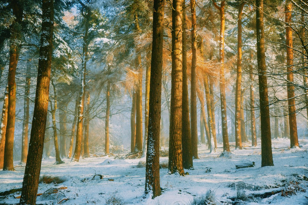 Daniel Casson tweet media