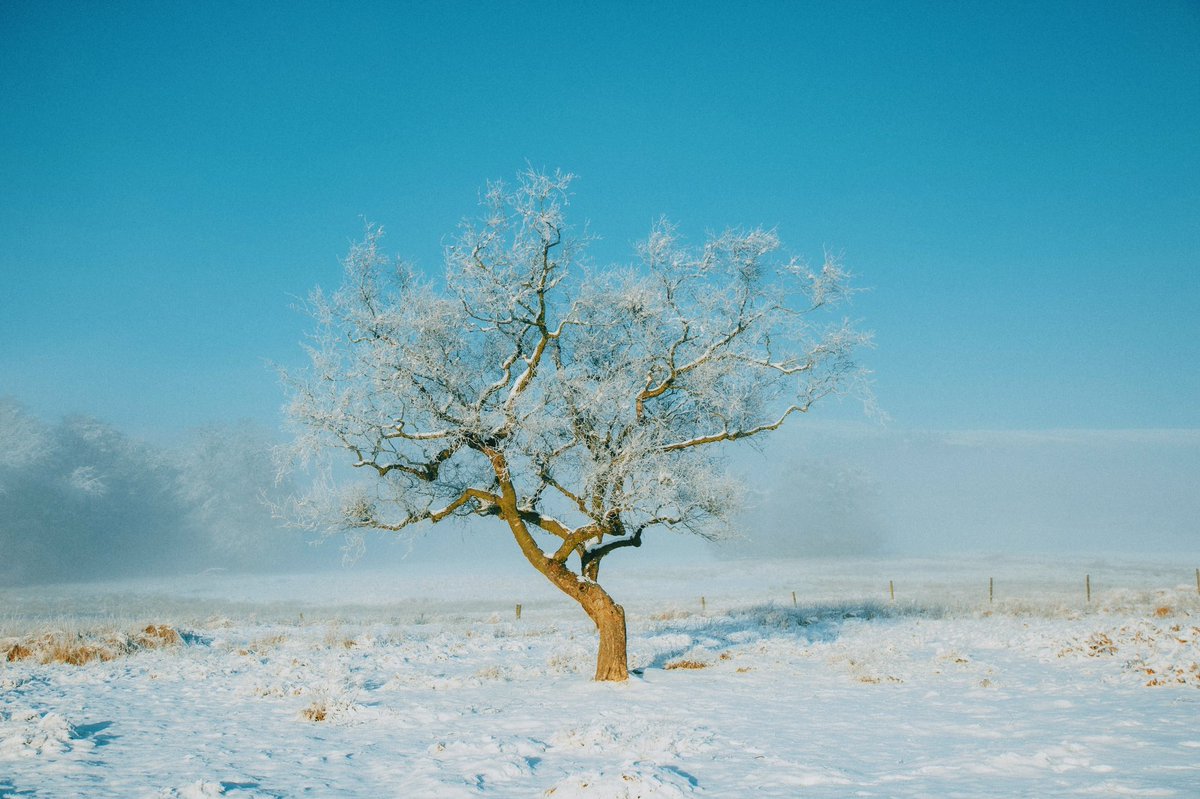 Daniel Casson tweet media