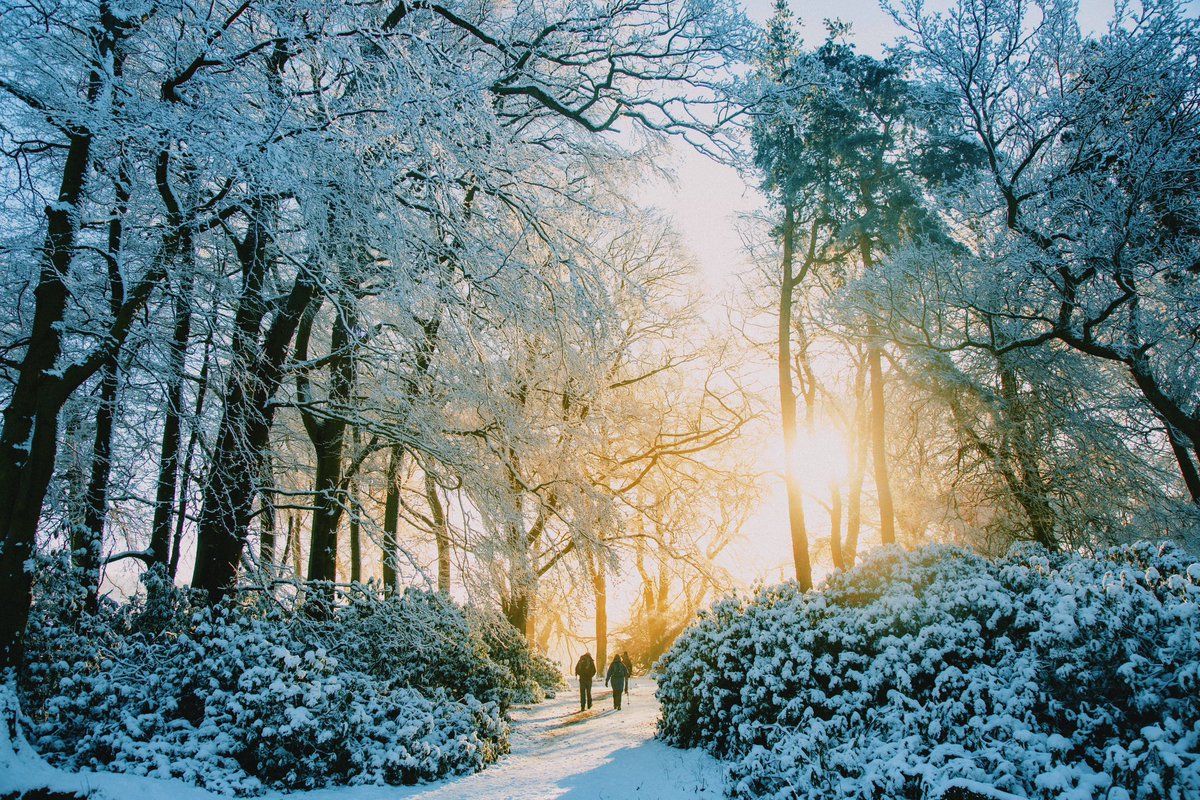 Daniel Casson tweet media