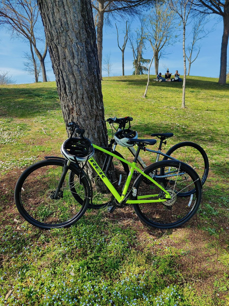 BicisFastLap's tweet photo. Nuestros clientes disfrutando de un buen día en #madrid con sus nuevas #bicicletas #trek https://t.co/ooJvmXzFCI