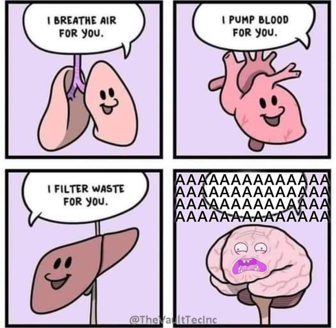 MurglesM's tweet photo. This is your brain after a match of League of Legends 
#meme #funny #gaming #vtuber #vtubers #memes https://t.co/n5ywn6wIkd