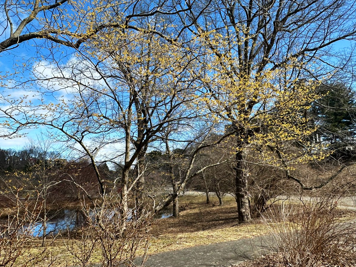 Emjay1028's tweet photo. Itβs all happening! ππ₯°βοΈ
#SpringIsComing #MJWeather #SortOf #ViewFromMidDayRun #Boston #SundayRunday #LongRunDay https://t.co/XUwhi49GNV