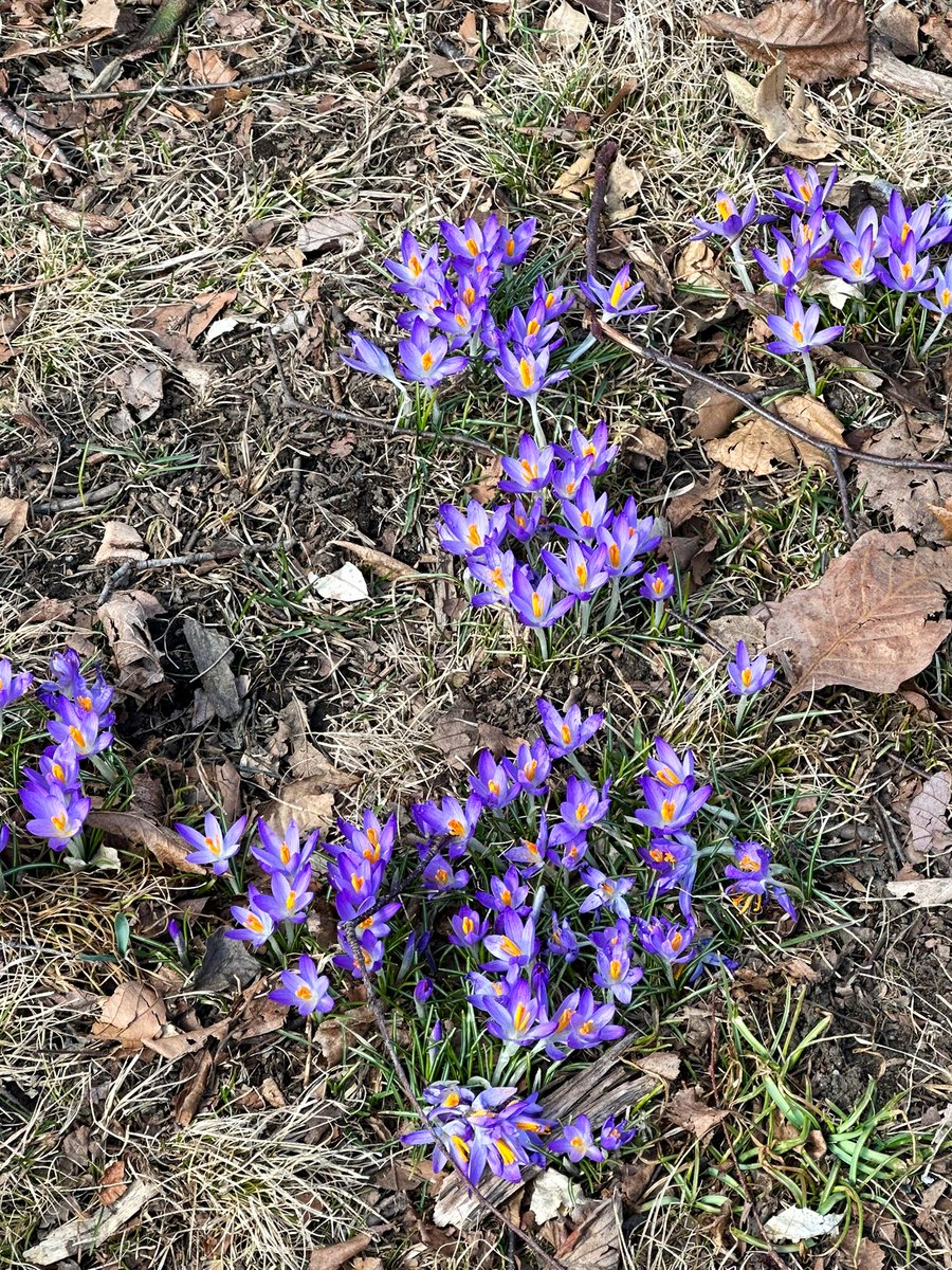 Emjay1028's tweet photo. Itβs all happening! ππ₯°βοΈ
#SpringIsComing #MJWeather #SortOf #ViewFromMidDayRun #Boston #SundayRunday #LongRunDay https://t.co/XUwhi49GNV