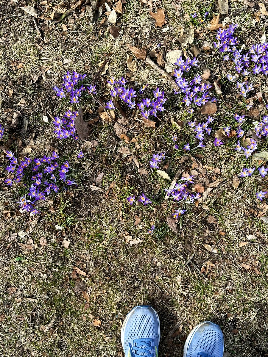 Emjay1028's tweet photo. Itβs all happening! ππ₯°βοΈ
#SpringIsComing #MJWeather #SortOf #ViewFromMidDayRun #Boston #SundayRunday #LongRunDay https://t.co/XUwhi49GNV
