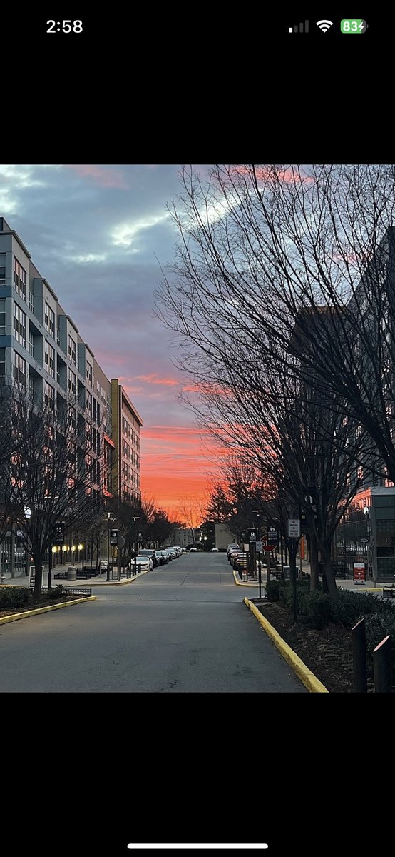 HalsteadSquare's tweet photo. With daylight savings time, don’t forget to turn your clocks forward an hour, so we see sunsets an hour later now!
We love seeing all your great photography skills - keep posting on Modern Message to receive points!
#UndeniablyHalstead ✨
•
•
#apartmentliving #halsteadsquare https://t.co/zxA1nJzzBo