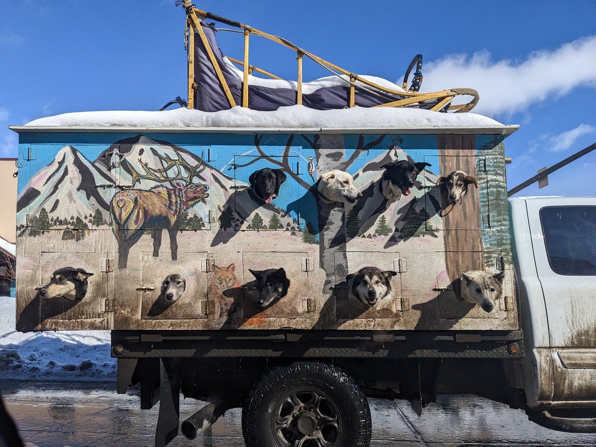 Shoggy Is Not Dead (@shoggyseldom) on Twitter photo 