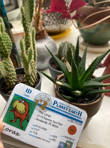 AndreaH01950776's tweet photo. These are succulents and they have been successfully growing! Cactuses need a pH level of 5.5 to 6.5. By testing the soil and water, I can regulate pH levels and take steps to adjust them as necessary. #apesland https://t.co/ZowMEHwwM2