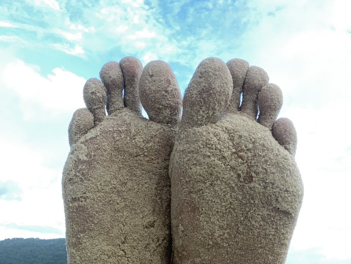 Day 12 of posting #feetpics

No caption necessary. Enjoy! 👣

#feetfethish #feetfinder #feetpicsforsales #sandyfeet