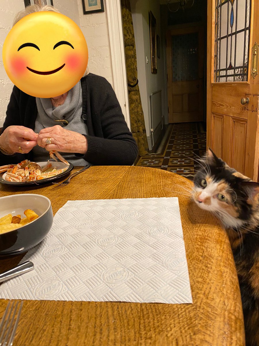 MollyMoggy26's tweet photo. Bella was very cheeky 🙀 and frustrated😹. Mum and Gran had langoustine 🦐🦐🦐 as a treat. I wasn’t bothered but clearly Bella felt upset that she wasn’t given a plate 😹😹😹. Sleep 💤 well dear furiends🐾💕🐾💕 #catsoftwitter #sundayfunday #greedycat #floofy #fluffy https://t.co/M1UZUpxOzk