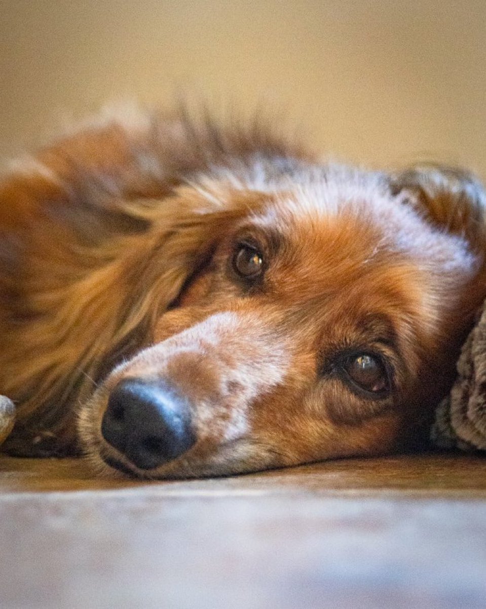 Phil Sledge tweet media