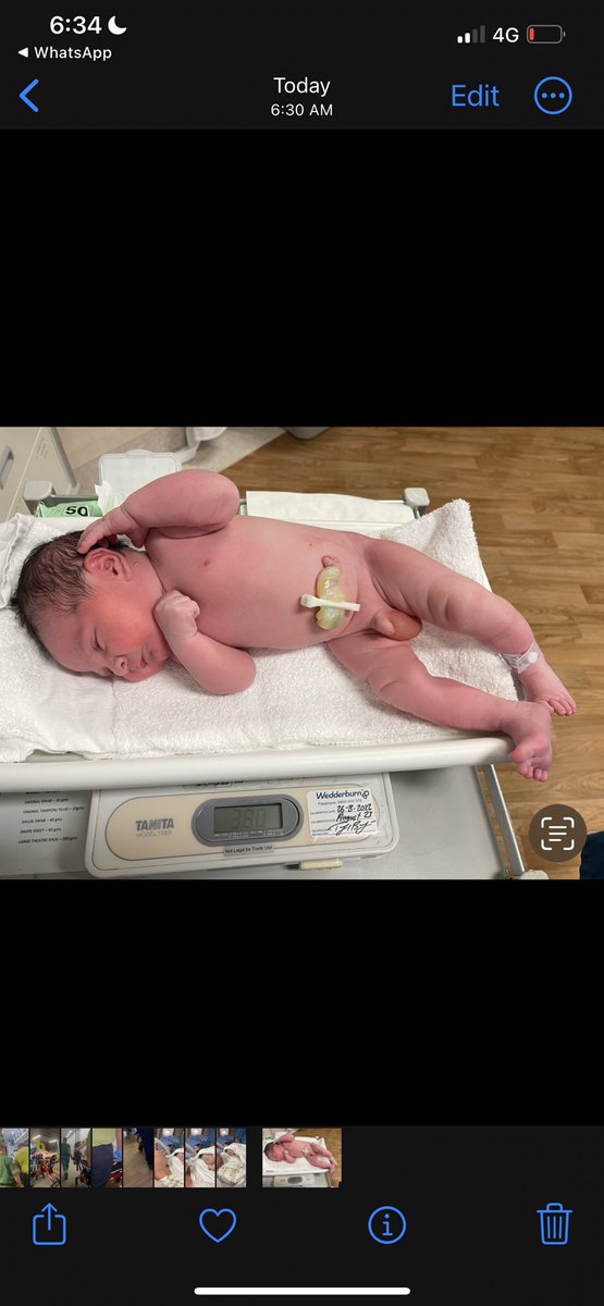 Israel Reyes Gomez tweet media