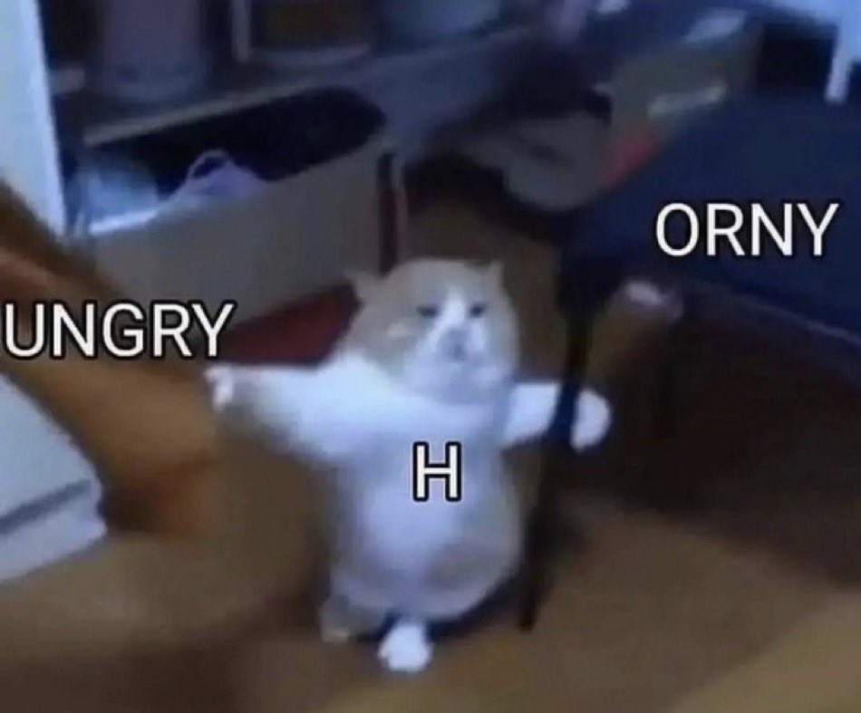 literallymecats's tweet photo. https://t.co/JgFUFu76LC