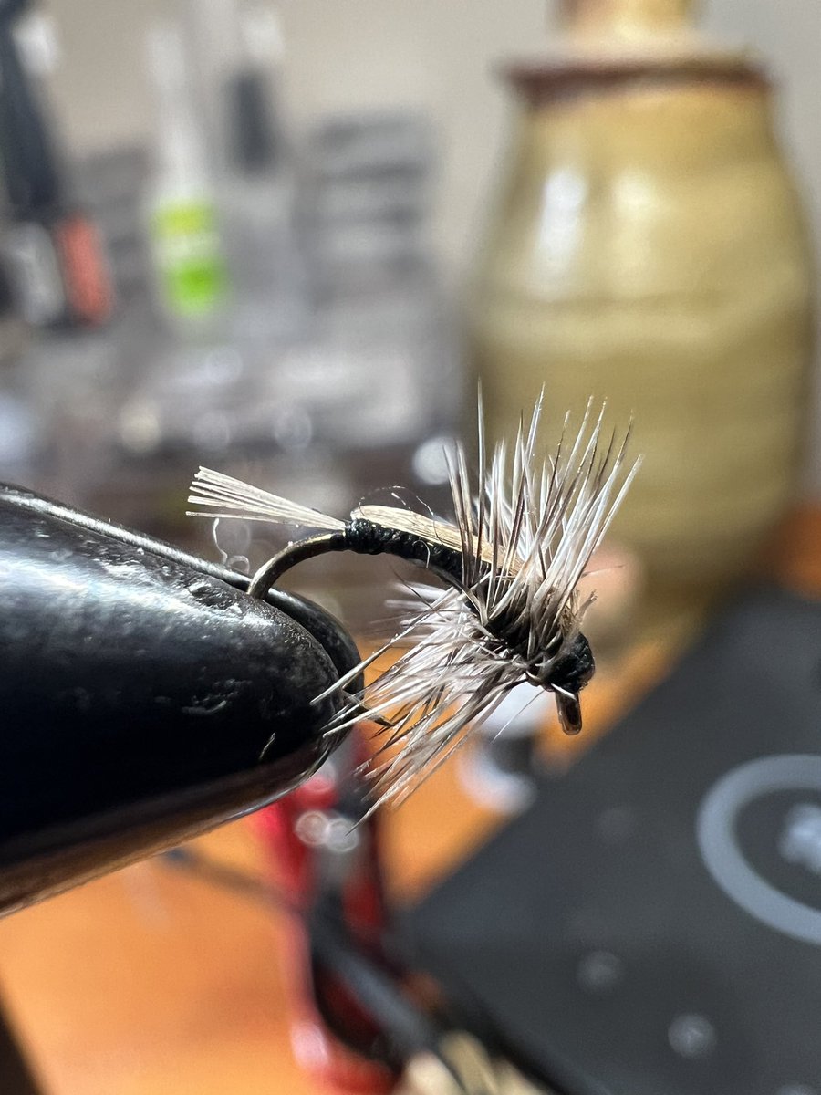 Flies by Jake on Twitter "Size 20 Stuck in Shuck Midge flyfishing 