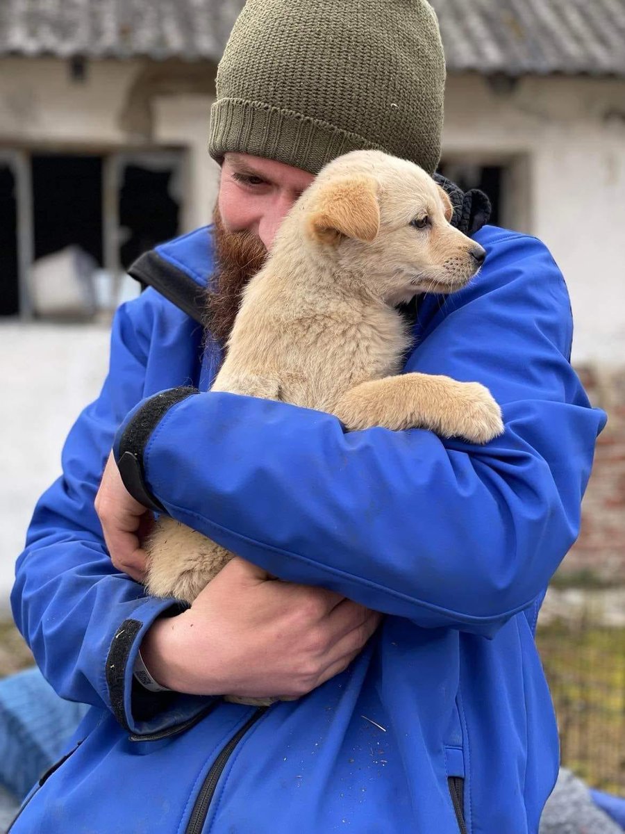 AnimalRescueUA's tweet photo. HAPPY 1 YEAR ANNIVERSARY 🇺🇦
Today it is 1 year ago Patrick crossed the 🇺🇦 border to join the foreign legion to fight for #Ukraine.
Due to new requirements the army could not accept him and he ended up as a volunteer for Centaurus, evacuating around 400 animals.
#animalrescue https://t.co/uqMxwd5WbZ