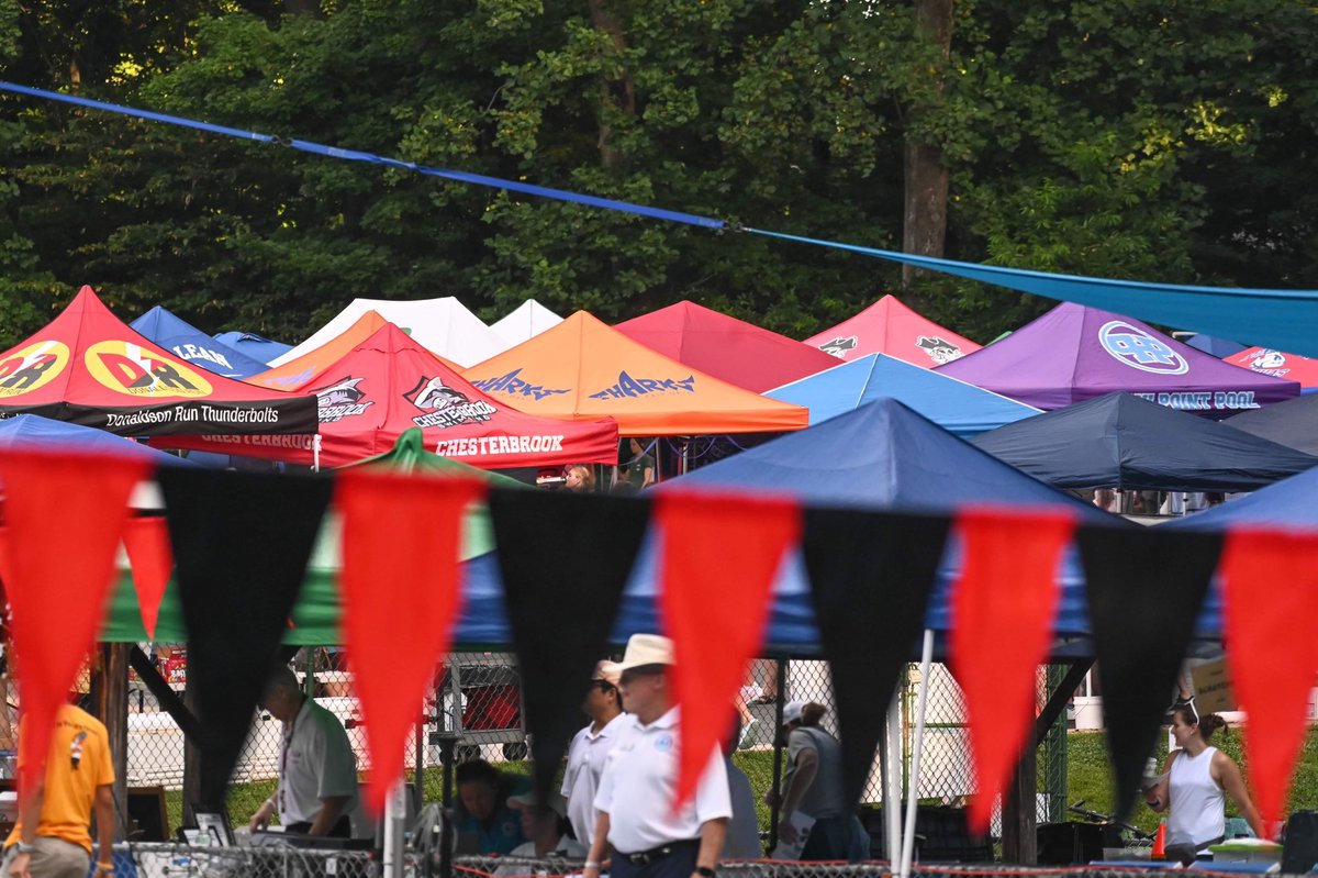 Northern Virginia Swimming League tweet media